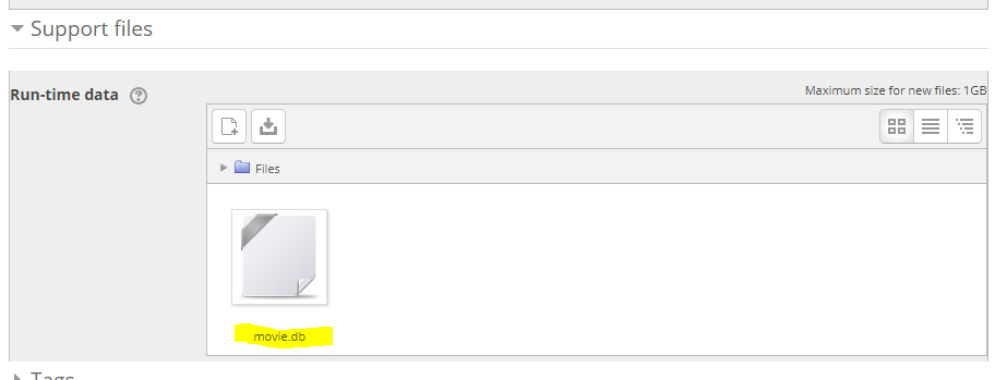 coderunner sql support file